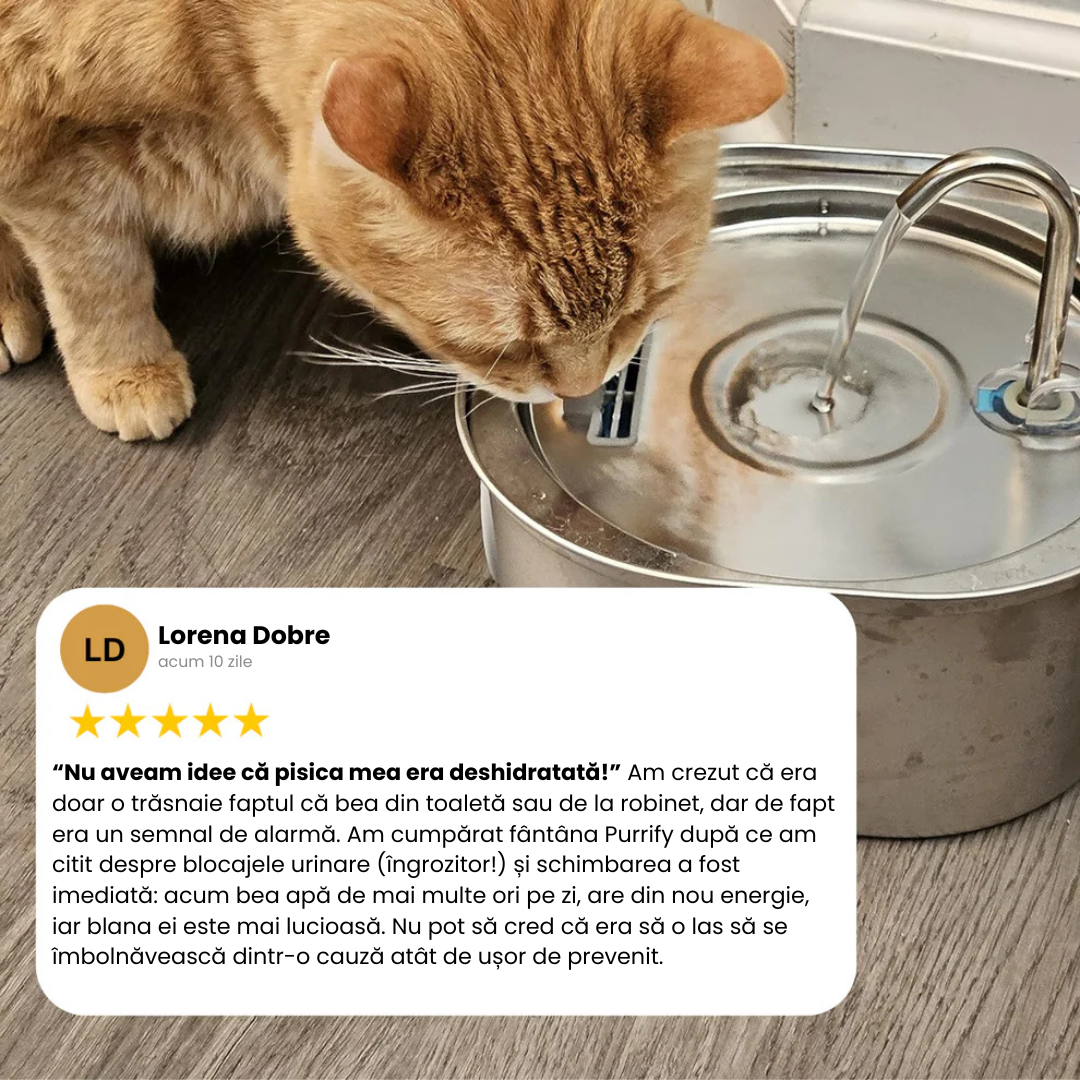 ⭐️⭐️⭐️⭐️⭐️ Evaluat cu 4,9/5 de peste 9.000+ stăpâni dedicați de pisici